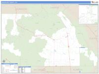 Saguache County, CO Wall Map Zip Code