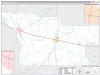 Atkinson County, GA Wall Map Zip Code