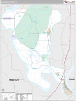 Alexander County, IL Wall Map Zip Code