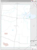 McMullen County, TX Wall Map Zip Code