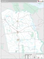 Tyler County, TX Wall Map