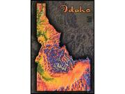 Idaho Topo <br /> Wall Map Map