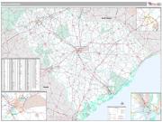 South Carolina <br /> Wall Map <br /> Premium Style 2024 Map