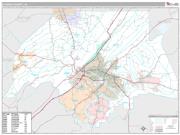 Etowah County, AL <br /> Wall Map <br /> Premium Style 2024 Map