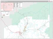 Delta County, CO <br /> Wall Map <br /> Premium Style 2024 Map