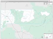 Dolores County, CO <br /> Wall Map <br /> Premium Style 2024 Map