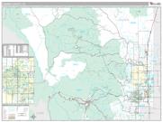 Larimer County, CO <br /> Wall Map <br /> Premium Style 2024 Map