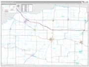 Washington County, IL <br /> Wall Map <br /> Premium Style 2024 Map
