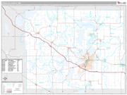 Douglas County, MN <br /> Wall Map <br /> Premium Style 2024 Map