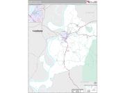 Adams County, MS <br /> Wall Map <br /> Premium Style 2024 Map
