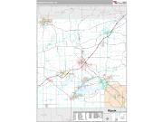 Walworth County, WI <br /> Wall Map <br /> Premium Style 2024 Map