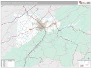 Johnson City Metro Area <br /> Wall Map <br /> Premium Style 2024 Map