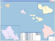 Hawaii <br /> Wall Map <br /> Color Cast Style 2024 Map
