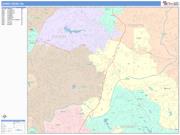 Johns Creek <br /> Wall Map <br /> Color Cast Style 2024 Map