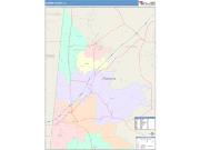 Sumter <br /> Wall Map <br /> Color Cast Style 2024 Map
