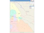 Shoshone <br /> Wall Map <br /> Color Cast Style 2024 Map