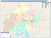 Calcasieu <br /> Wall Map <br /> Color Cast Style 2024 Map