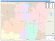 Faribault <br /> Wall Map <br /> Color Cast Style 2024 Map