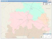 Copiah <br /> Wall Map <br /> Color Cast Style 2024 Map