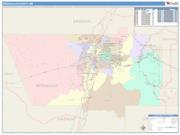 Bernalillo <br /> Wall Map <br /> Color Cast Style 2024 Map