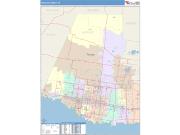 Hidalgo <br /> Wall Map <br /> Color Cast Style 2024 Map