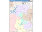 Palo Pinto <br /> Wall Map <br /> Color Cast Style 2024 Map