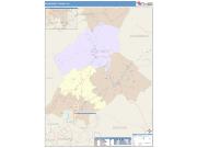 Botetourt <br /> Wall Map <br /> Color Cast Style 2024 Map