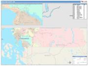 Whatcom <br /> Wall Map <br /> Color Cast Style 2024 Map