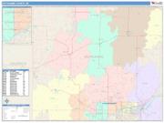 Outagamie <br /> Wall Map <br /> Color Cast Style 2024 Map