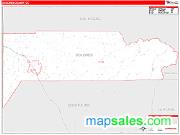 Dolores County, CO <br /> Wall Map <br /> Zip Code <br /> Red Line Style 2024 Map