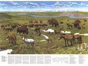 Ice Age Mammals of the Alaskan Tundra 1972 <br /> Wall Map Map