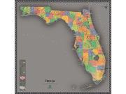 Florida <br /> Contemporary <br /> Wall Map Map