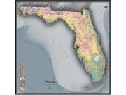 Florida <br /> Physical <br /> Wall Map Map