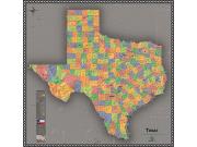 Texas <br /> Contemporary <br /> Wall Map Map