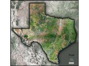 Texas <br /> Satellite <br /> Wall Map Map