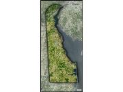 Delaware <br /> Satellite <br /> Wall Map Map