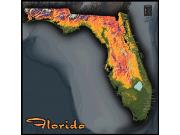 Florida Topo <br /> Wall Map Map