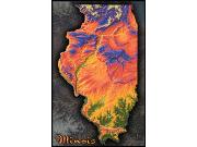 Illinois Topo <br /> Wall Map Map
