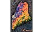 Maine Topo <br /> Wall Map Map