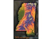 Mississippi Topo <br /> Wall Map Map