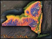 New York Topo <br /> Wall Map Map