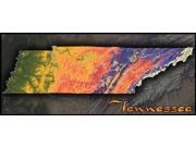 Tennessee Topo <br /> Wall Map Map