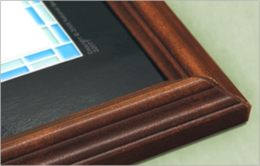 Executive Framed Example