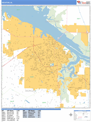 Decatur Wall Map