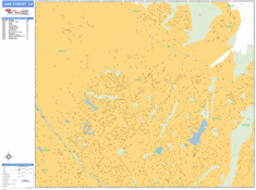 Lake Forest Wall Map