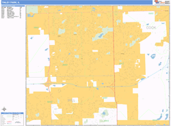 Tinley Park Wall Map