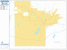 Battle Creek Wall Map