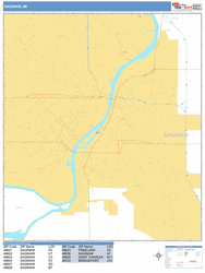 Saginaw Wall Map