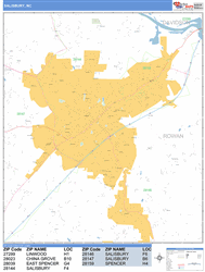 Salisbury Wall Map