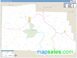 Carter County, MO Zip Code Wall Map